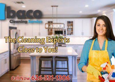 Cleaning Expert